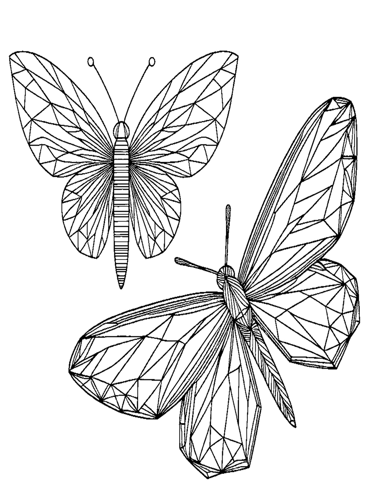Colorfly Coloring Book - Butterflies, Fireflies and Colorflies: Stress Relief, Relaxation and Calmness